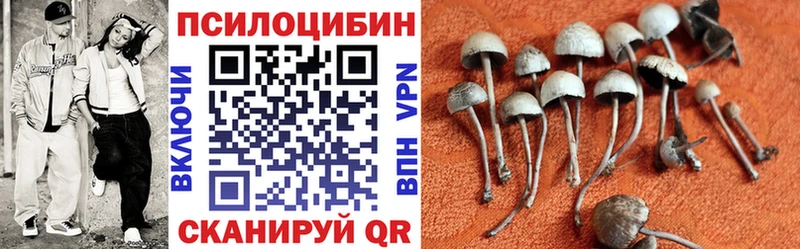 Галлюциногенные грибы Magic Shrooms  купить наркоту  Ворсма 